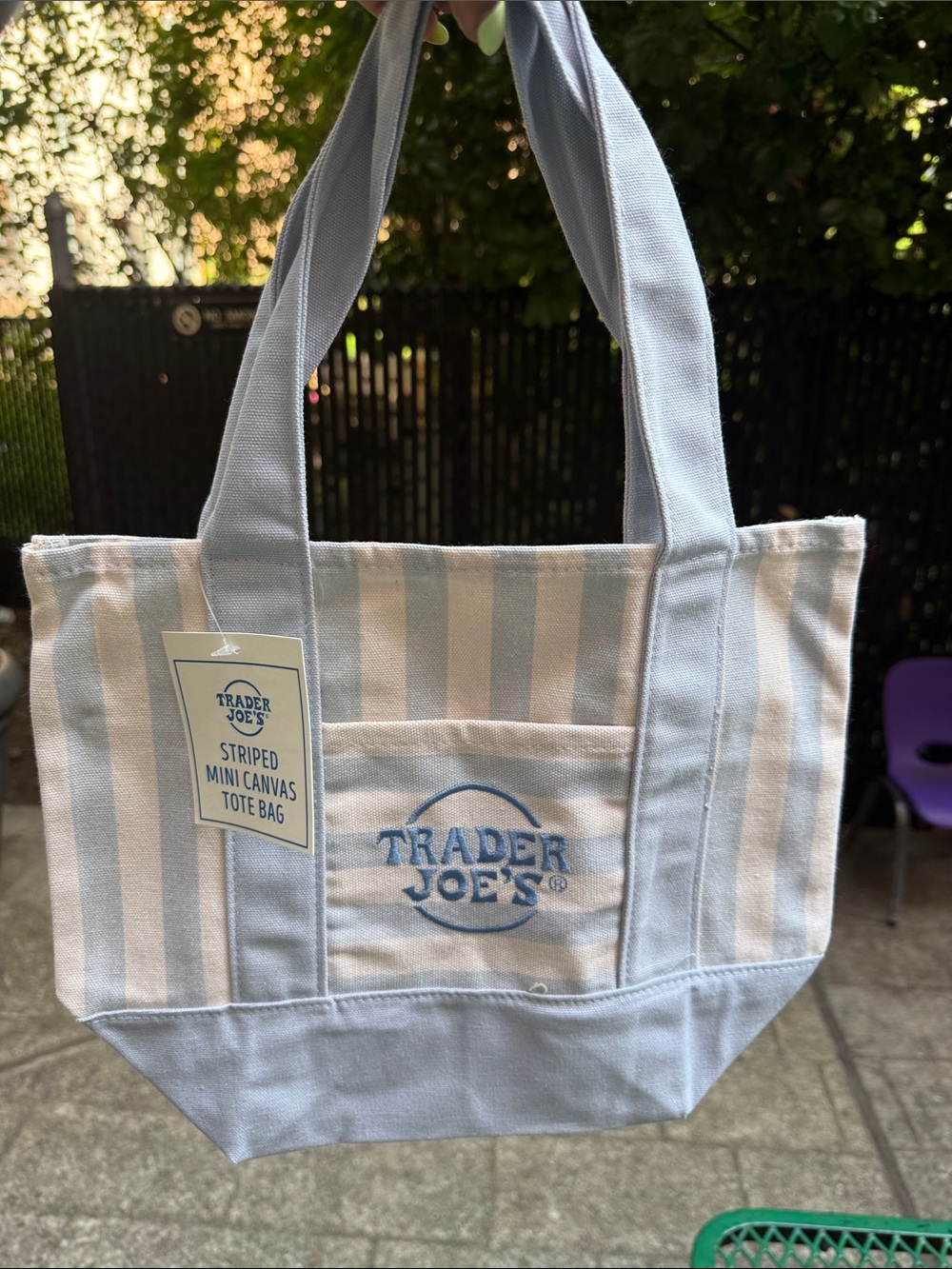 NEW Trader Joe's Striped Mini Canvas Tote Bag - Light Blue